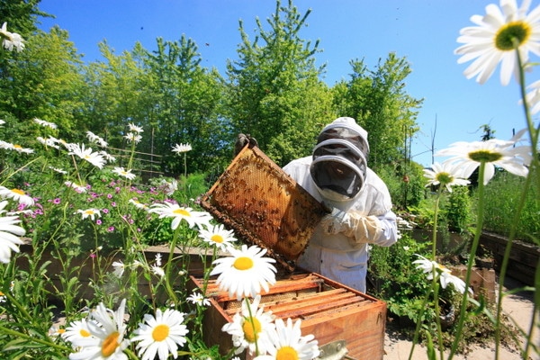 Comment préserver la biodiversité ?