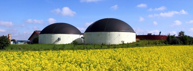 Quelques innovations au service de l’environnement