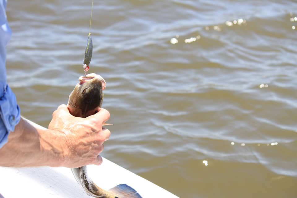 Quel équipement pour une sortie de pêche en mer ?