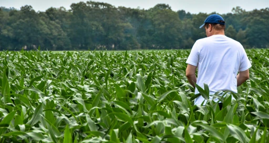 Quand le web vient en aide aux agriculteurs