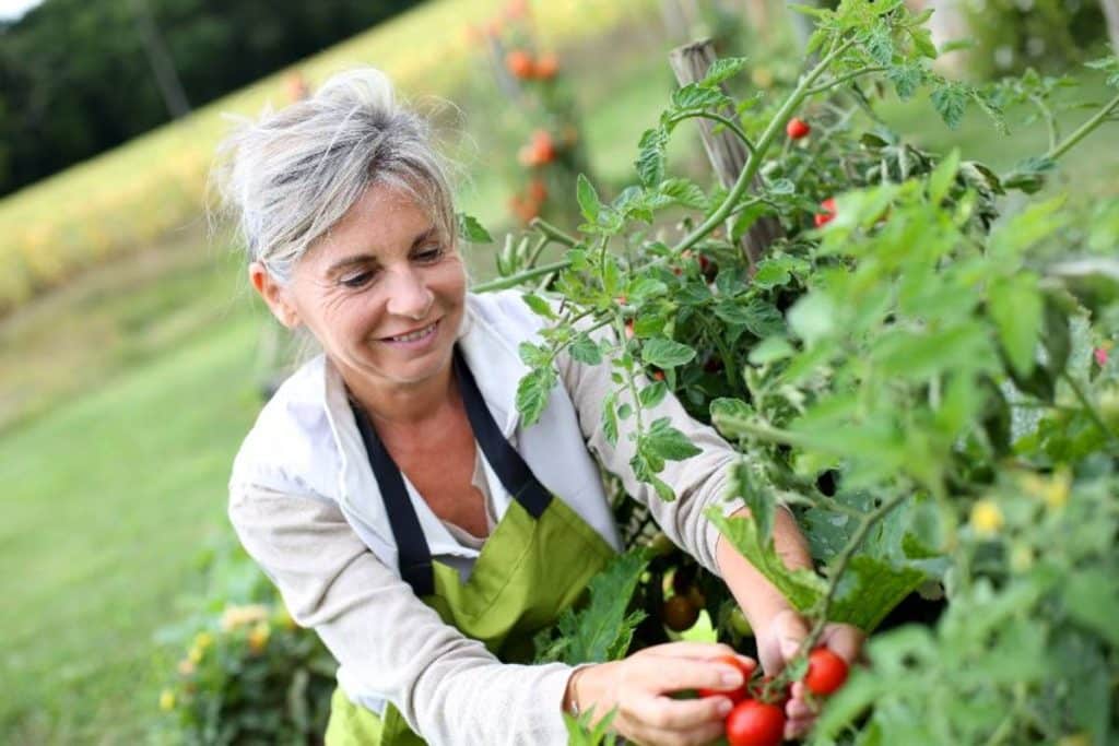 Femme agricultrice en France : 5 stéréotypes à déconstruire