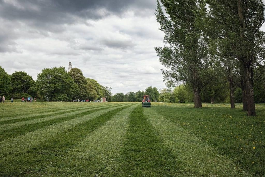 Entretien d’espaces verts et de jardins : l’irremplaçable débroussailleuse