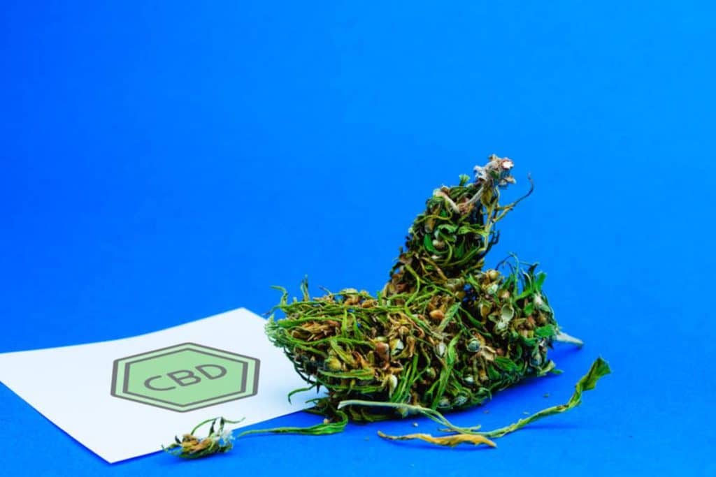 Fleur de CBD : quels sont les modes de consommation ?