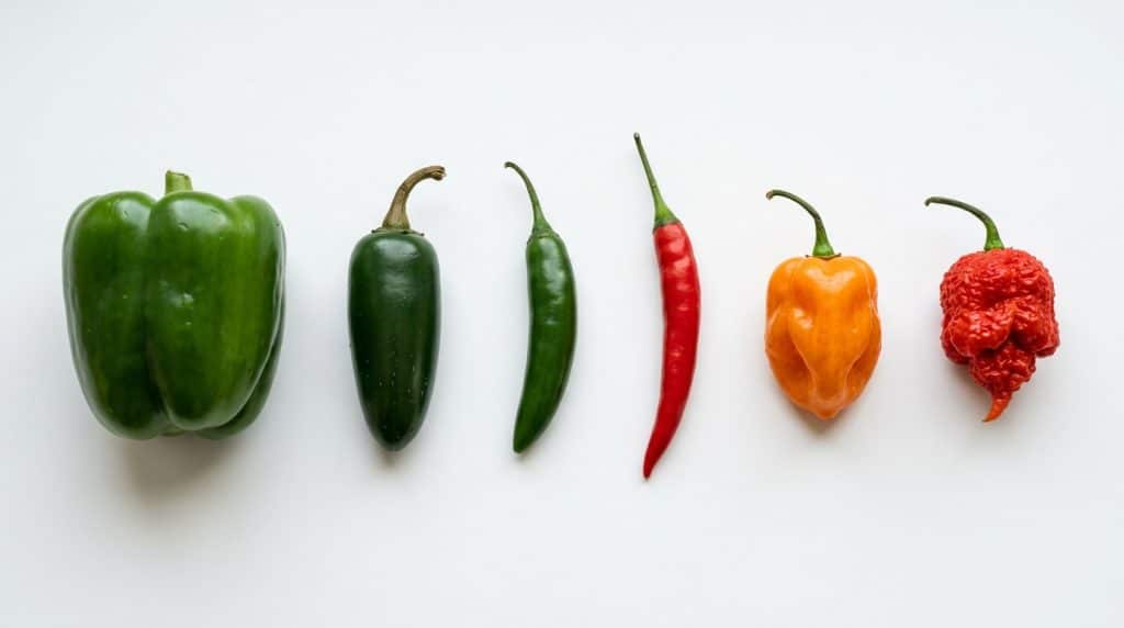 L&rsquo;échelle de Scoville expliquée simplement avec les piments qu&rsquo;on connaît